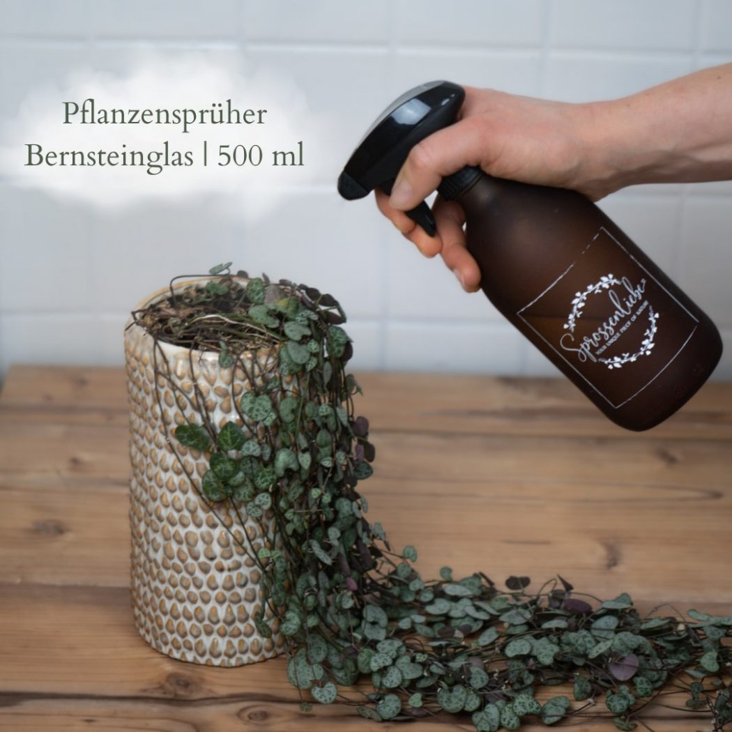 Pflanzensprüher Bernsteinglas (500 ml)